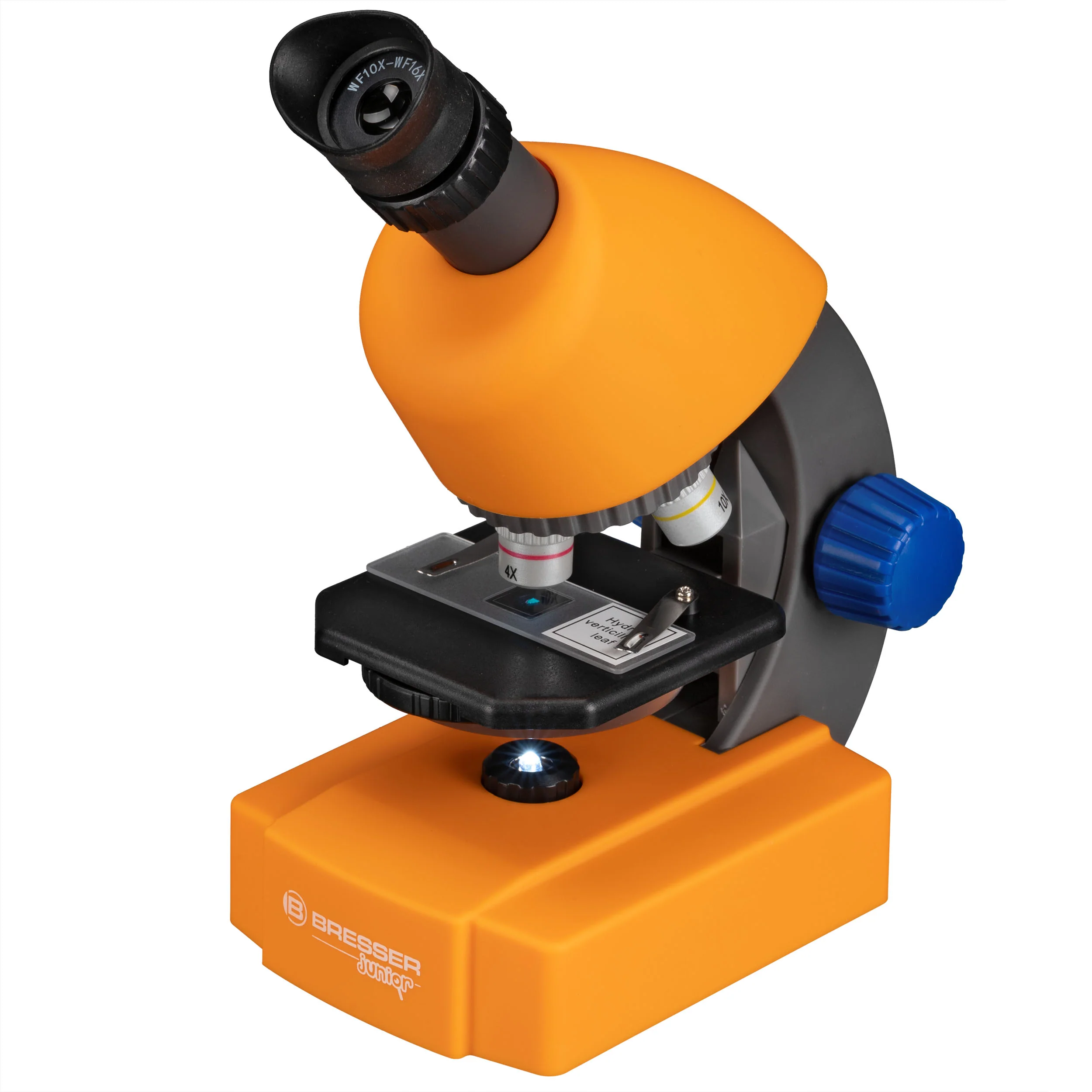 Miniatura 1